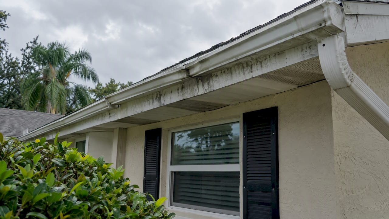 Dark fascia streaks beside a sagging gutter